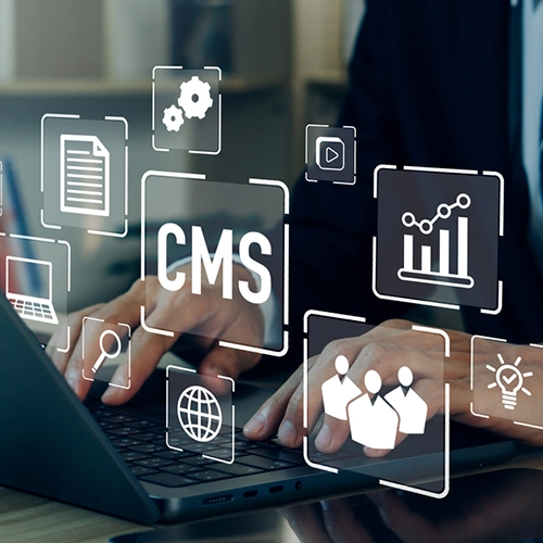 Custom ERP Development